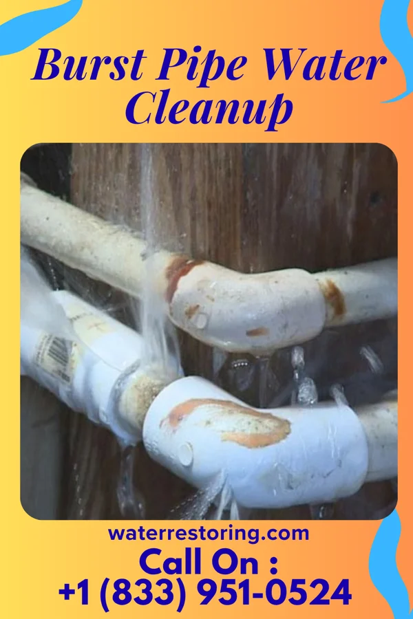 Burst Pipe Water Cleanup in Union City, NJ