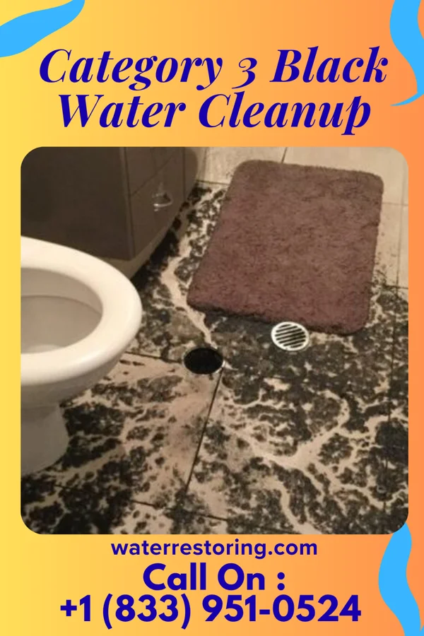 Category 3 Black Water Cleanup in Union City, NJ