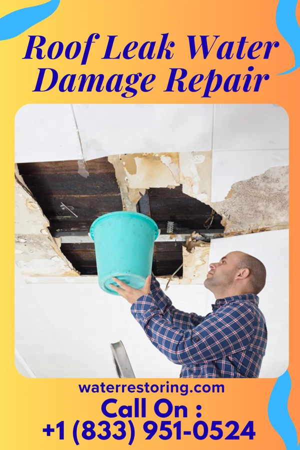 Roof Leak Water Damage Repair in Union City, NJ