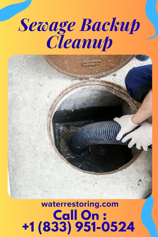Sewage Backup Cleanup in Union City, NJ