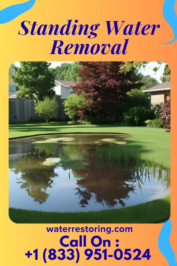 Standing Water Removal in Union City, NJ